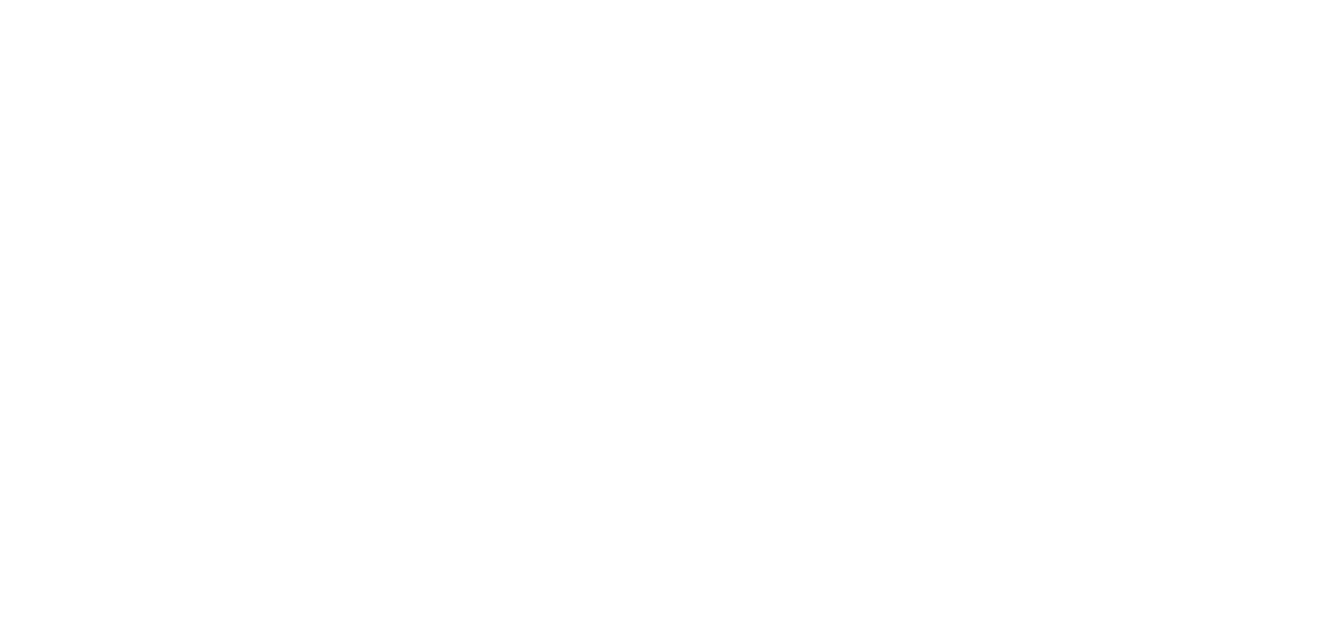 salesforce logo light